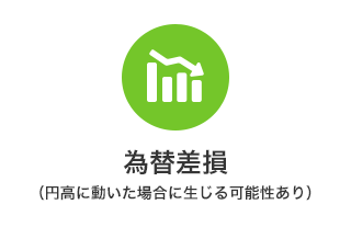 為替差損（円高に動いた場合生じる可能性あり）